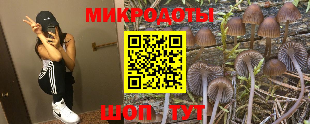 Псилоцибиновые грибы Magic Shrooms  Вход с VPN  купить наркотик  Киселёвск 